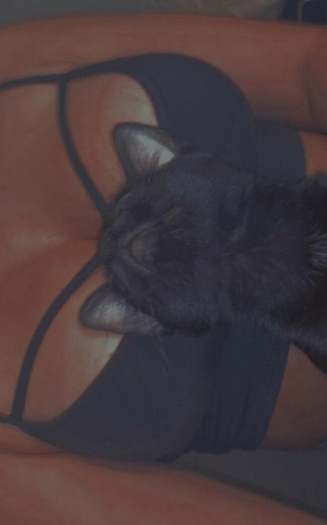 haariger busch nur fans kunst kostenlose foto