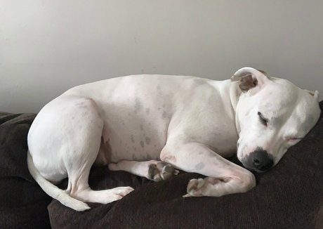 solo-muschi nur fans hübsche pornographische galerien