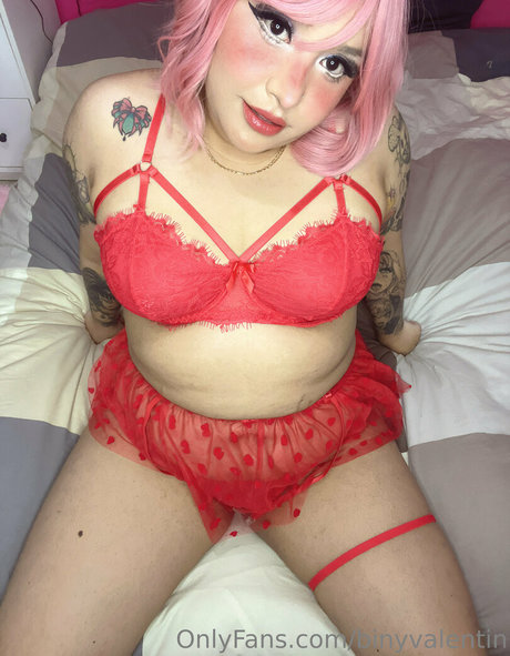 binyvalentin hübsche erotische bild