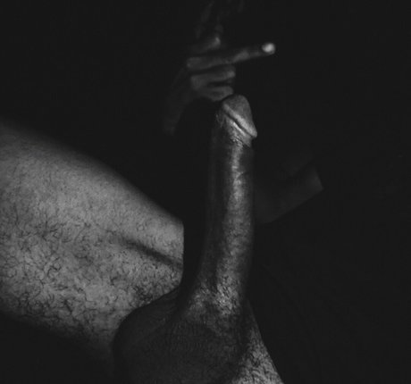 xkingray beste schöne foto