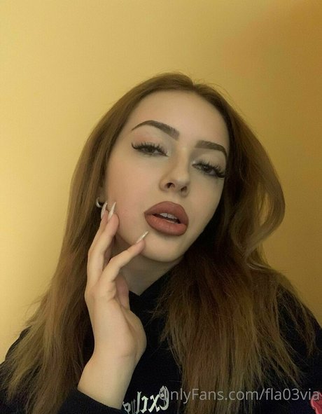 fla03via kunst nette foto