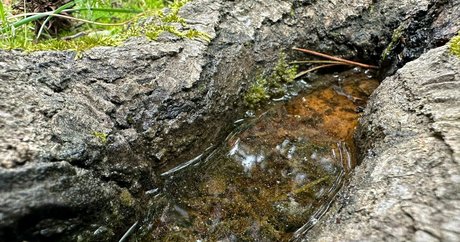 nerdygirl onlyfans schöne nackten bild