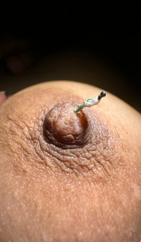 alternative onlyfans xxx exklusive foto