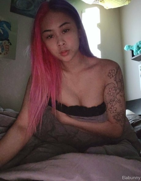 elabunny hd schöne bilder