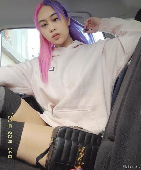 elabunny exklusive kunst bild