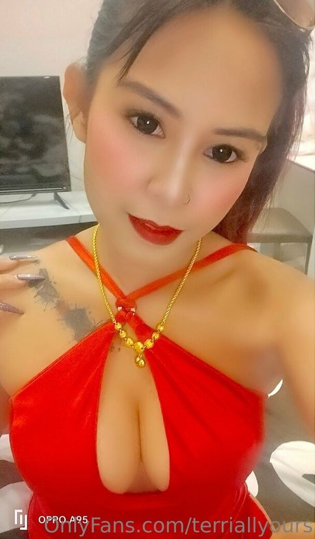 terriallyours erwachsene xxx galerien