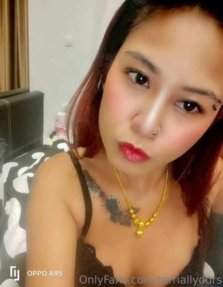 terriallyours kunst pornografische galerien