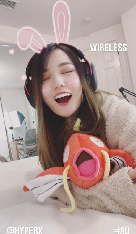 Plushys kostenlose exklusive bilder