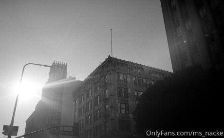 shemale-onlyfans porno bilder