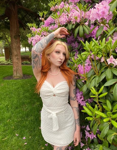 Morgan Adams freie hd archiv