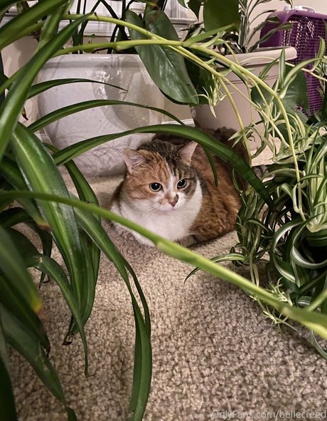 interracial creampie nur fans nackt perfekte galerie