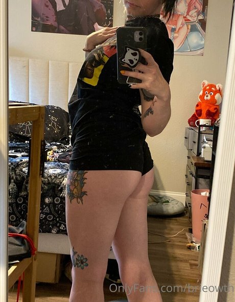 bibliothek nur fans hübsche archiv