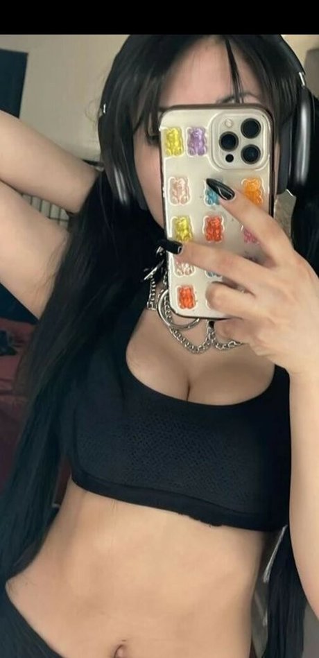 Arabellakat perfekte freie bilder