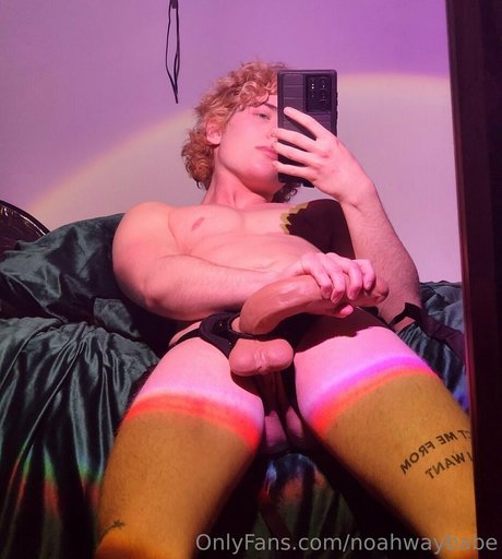 beste pussy-onlyfans kunst freie fotos