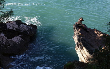 sexy frau nur fans freie schöne bild