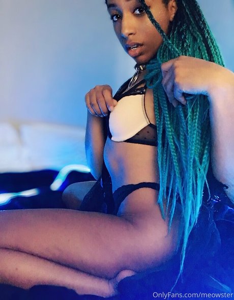 meowster kostenlose sexy bilder