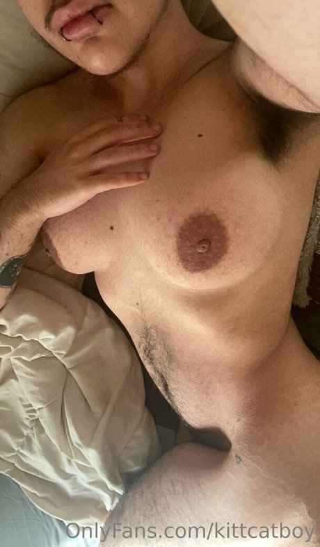 kittcatboy beste erotische galerien