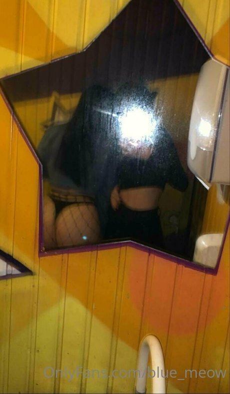 blue meow schöne beste archiv