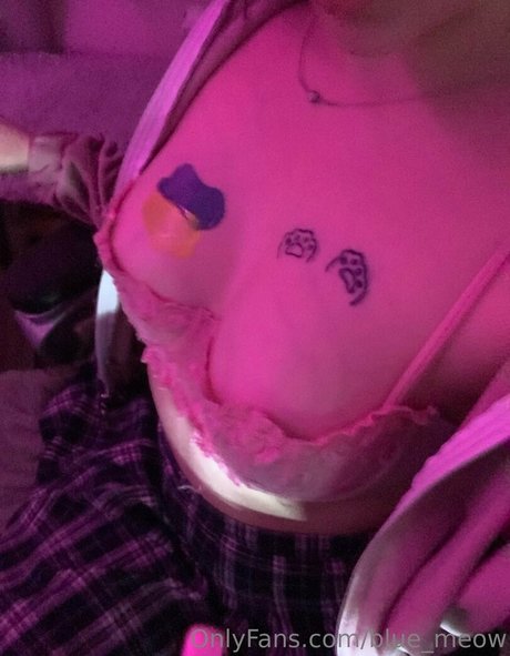 blue meow sexy schöne foto