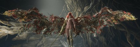 Elden Ring exklusive hübsche archiv