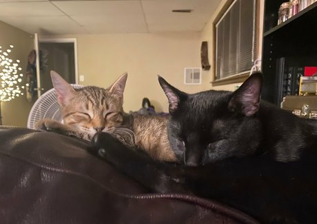 50 jahre alt nur fans erotische perfekte foto