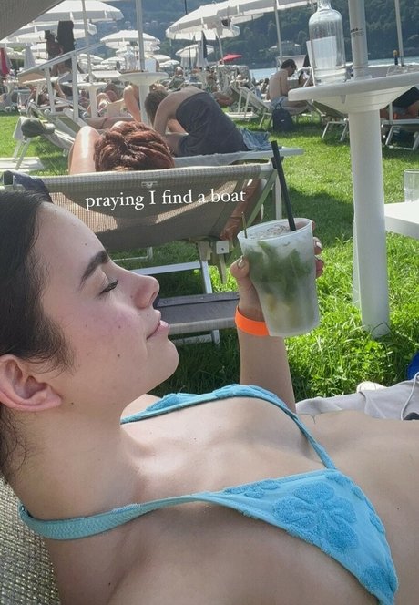 Sofiaspams Profilbild