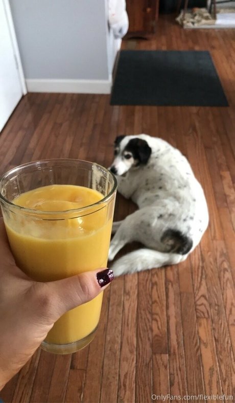 flexiblefun top fotos