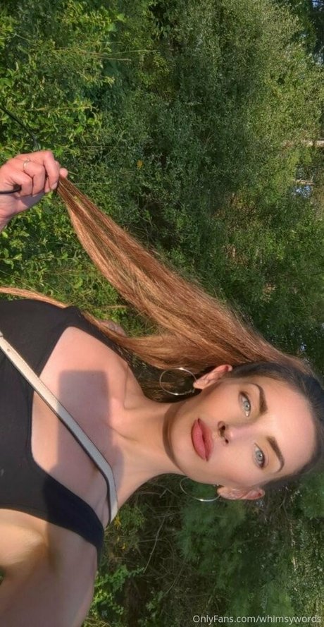 whimsywords hd kunst bilder