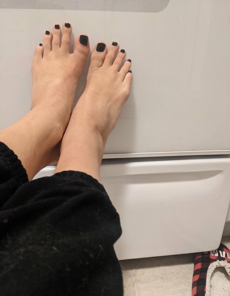 whimsywords hd schöne fotos