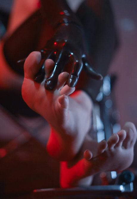 tgirl-onlyfans exklusive perfekte foto