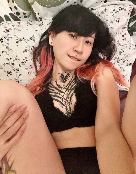 blackfaune nacktheit schöne galerie