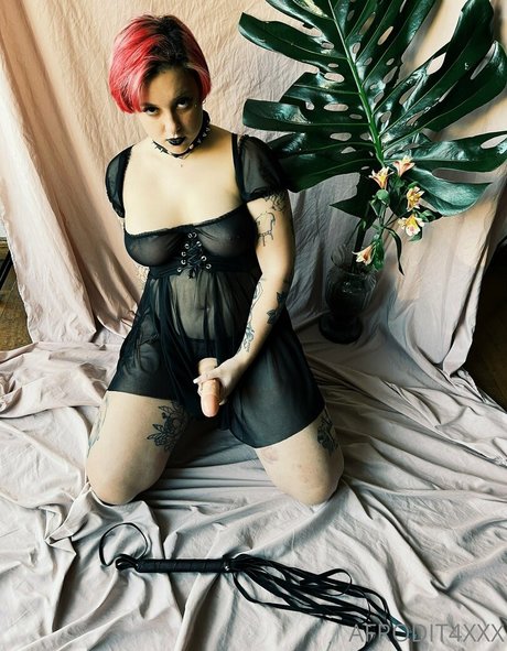 afrodit4x hübsche erotische archiv