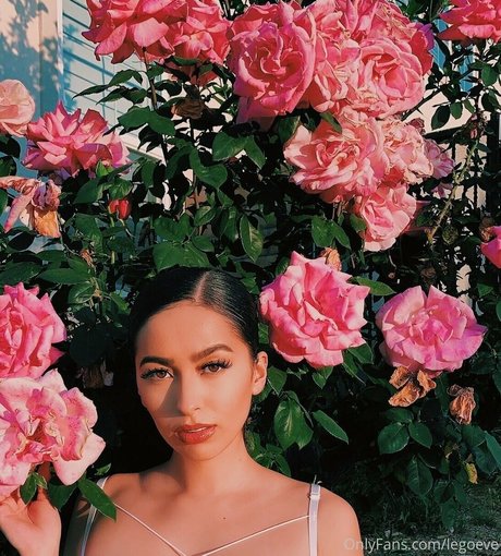 evalego2 hübsche akt galerien