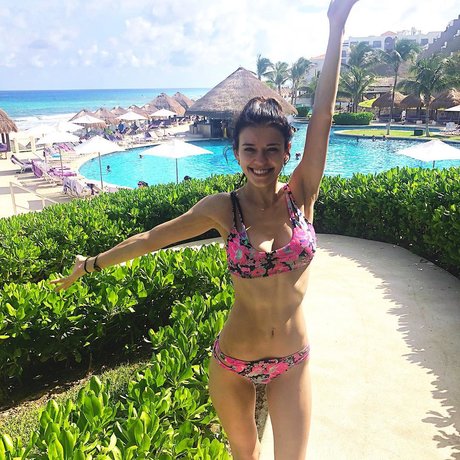 Koala Puffs kostenlose nacktheit bild