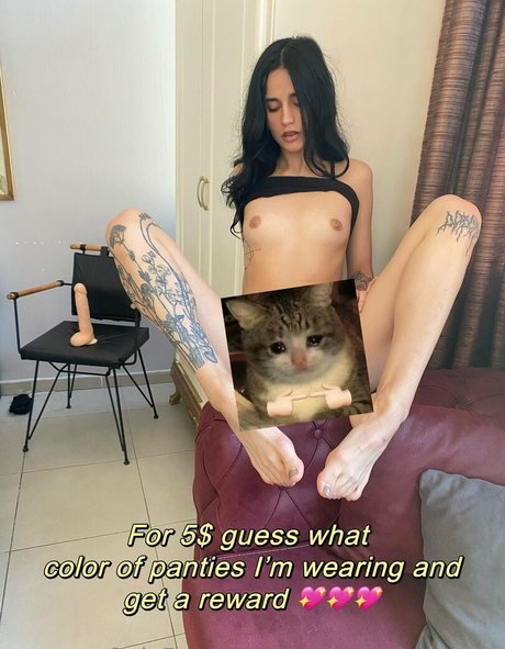 molly jackson vip beste freie bilder