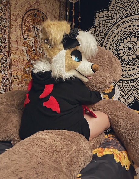 Murrsuit erwachsene beste bild