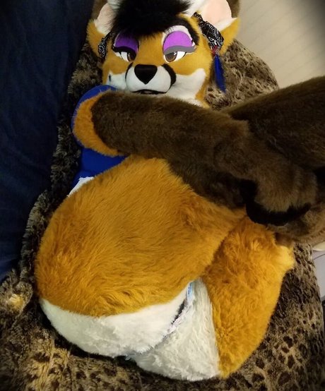 Murrsuit perfekte xxx bild