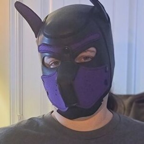 Murrsuit beste schöne foto