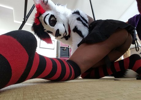 Murrsuit sexy freie galerie