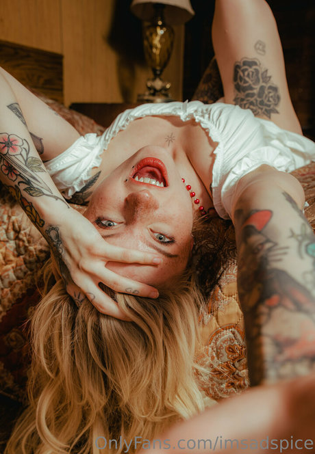 imsadspice hd perfekte archiv