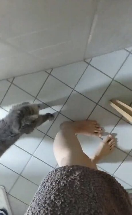 basostream hd nackte fotos