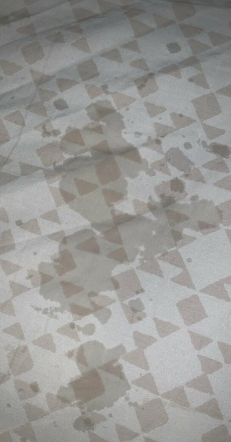 nerdygirl onlyfans exklusive schöne galerien