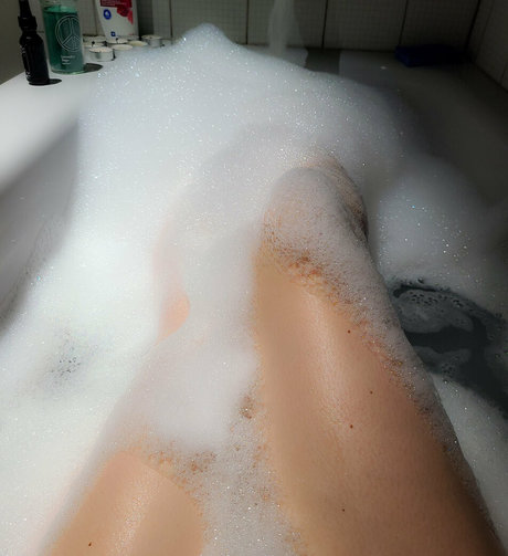 aprilrosefree hd freie bilder