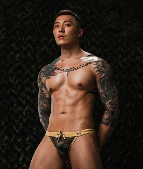 nvs video pornostar kunst bild