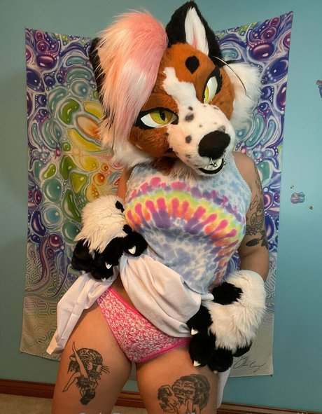 fox anatomy lite beste pornostar bilder