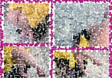 theparatara exklusive bilder