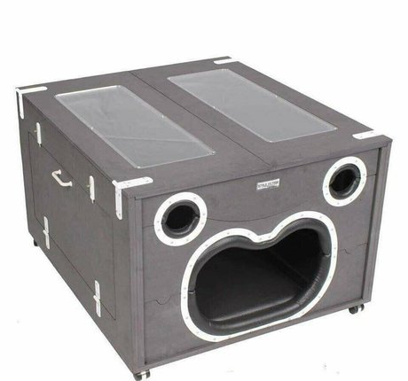 asiatische gilf-onlyfans nackten fotos