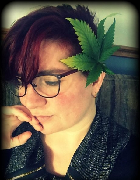 taylorpayn kostenlose schöne fotos