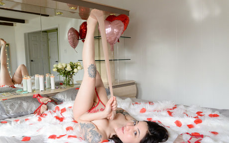 vaegasuicide Profilbild