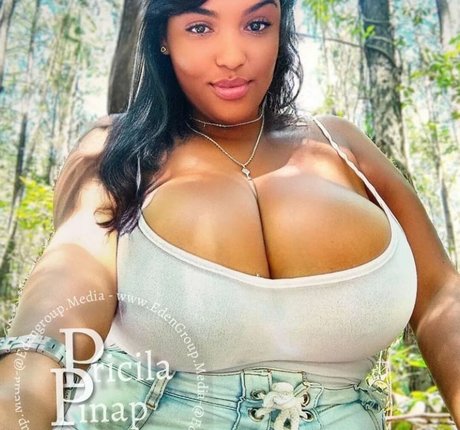 Pricila Pinap kunst pornografische archiv